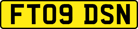 FT09DSN