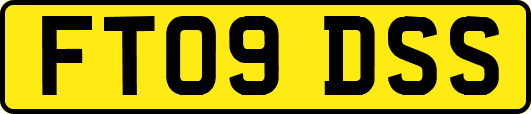 FT09DSS