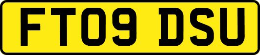 FT09DSU