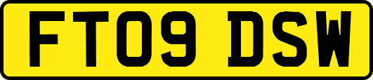 FT09DSW