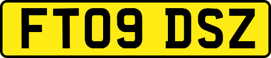 FT09DSZ