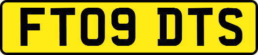 FT09DTS