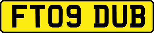 FT09DUB