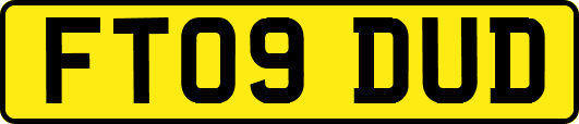 FT09DUD