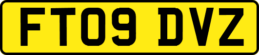 FT09DVZ