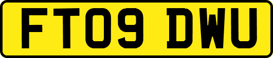 FT09DWU