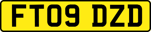 FT09DZD