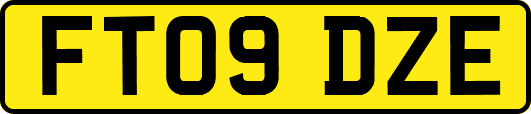 FT09DZE