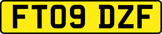 FT09DZF