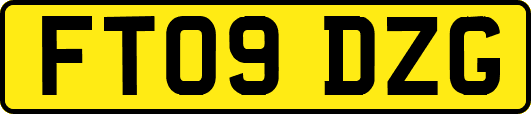 FT09DZG
