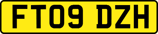 FT09DZH
