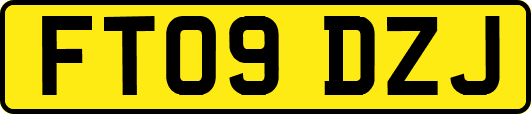 FT09DZJ