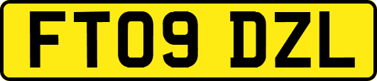 FT09DZL