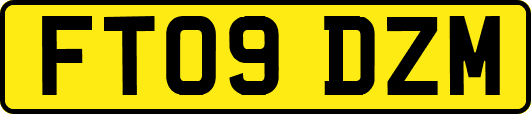 FT09DZM