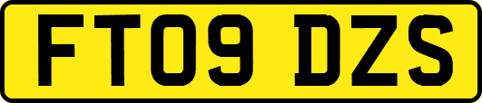 FT09DZS