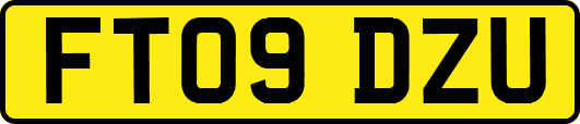 FT09DZU