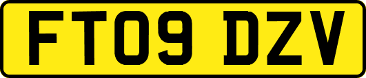 FT09DZV