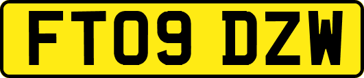 FT09DZW