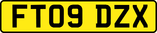 FT09DZX