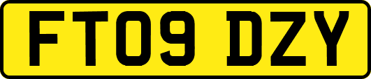 FT09DZY