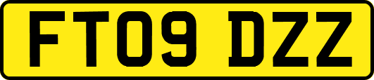 FT09DZZ