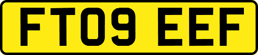 FT09EEF