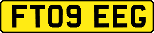 FT09EEG