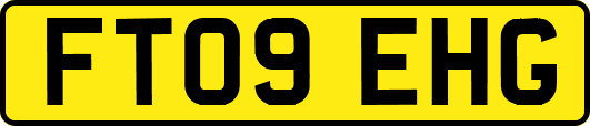 FT09EHG