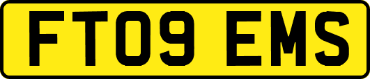FT09EMS
