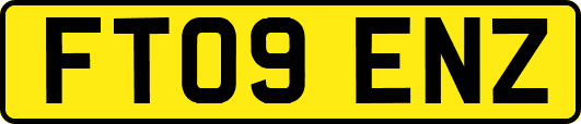 FT09ENZ