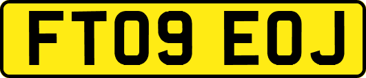 FT09EOJ