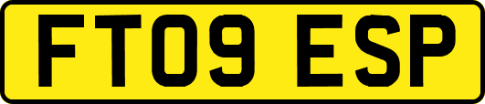 FT09ESP
