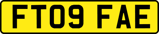 FT09FAE