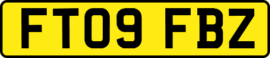 FT09FBZ