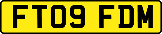 FT09FDM