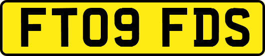 FT09FDS