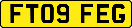 FT09FEG