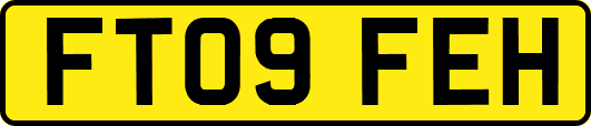 FT09FEH