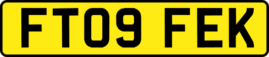 FT09FEK