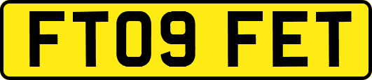 FT09FET