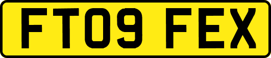 FT09FEX