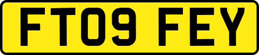 FT09FEY