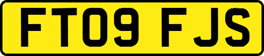 FT09FJS