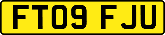 FT09FJU