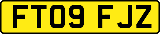 FT09FJZ