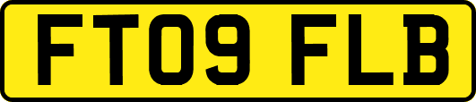 FT09FLB