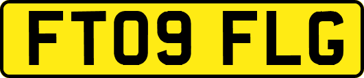 FT09FLG