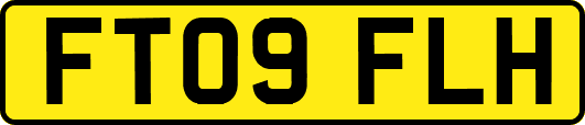 FT09FLH