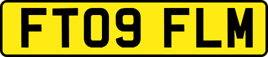 FT09FLM