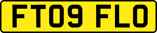 FT09FLO